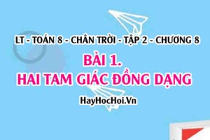 Hai tam giác đồng dạng Khái niệm, Tính chất, Định lí? Toán 8 chân trời tập 2 chương 8 bài 1
